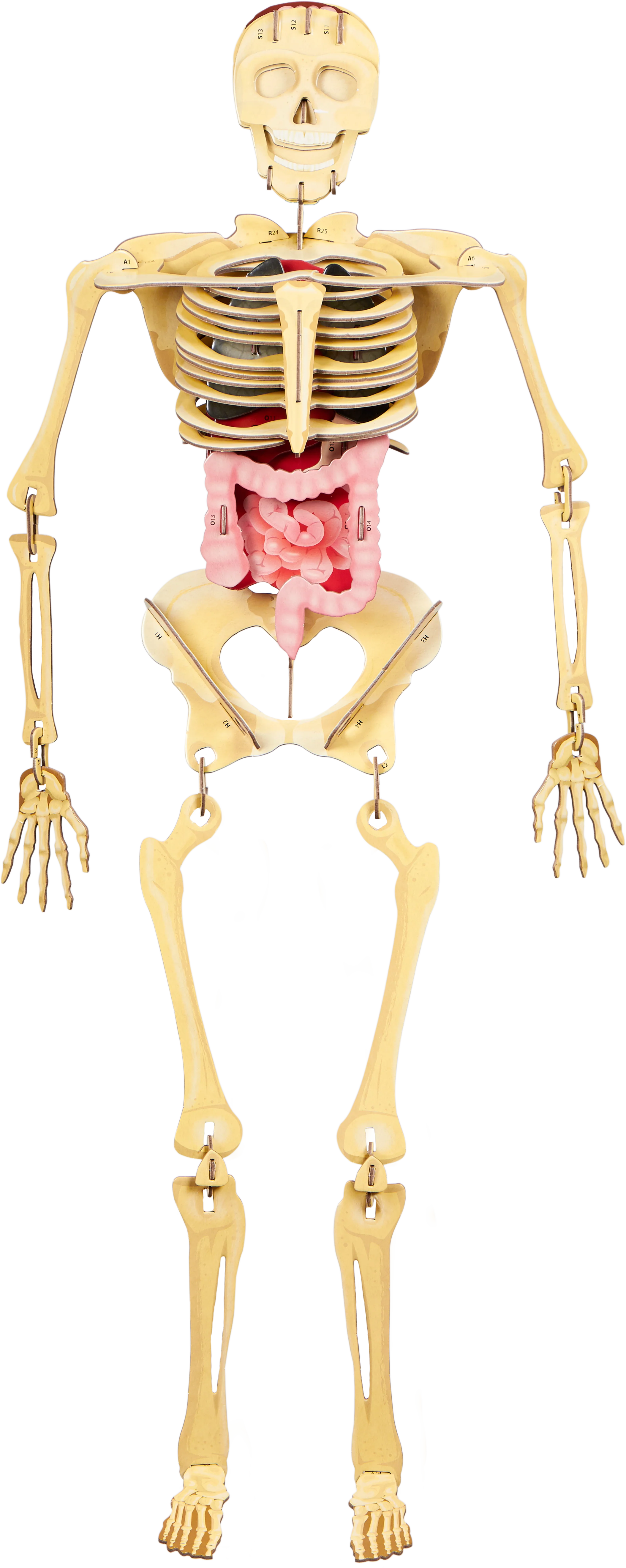 Imagem do produto 3